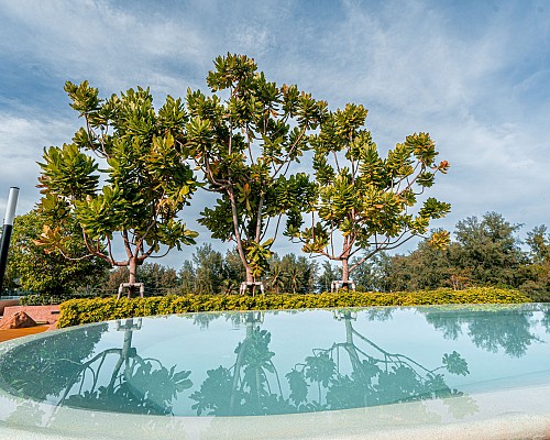 Marin Rooftop Pool