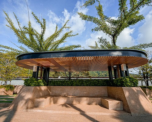 Roof Deck Garden