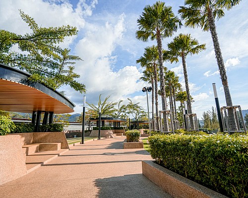 Roof Deck Garden