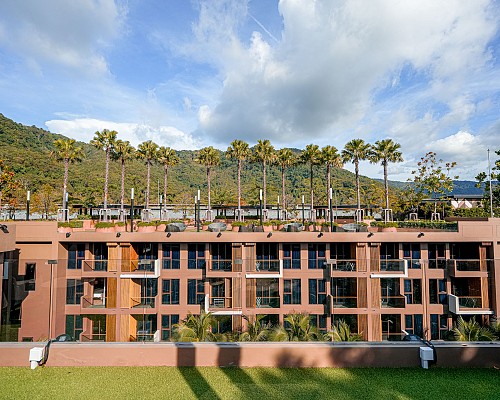 Roof Deck Garden