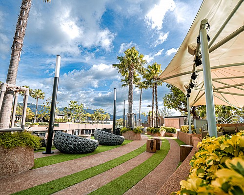 Roof Deck Garden