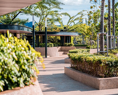 Roof Deck Garden