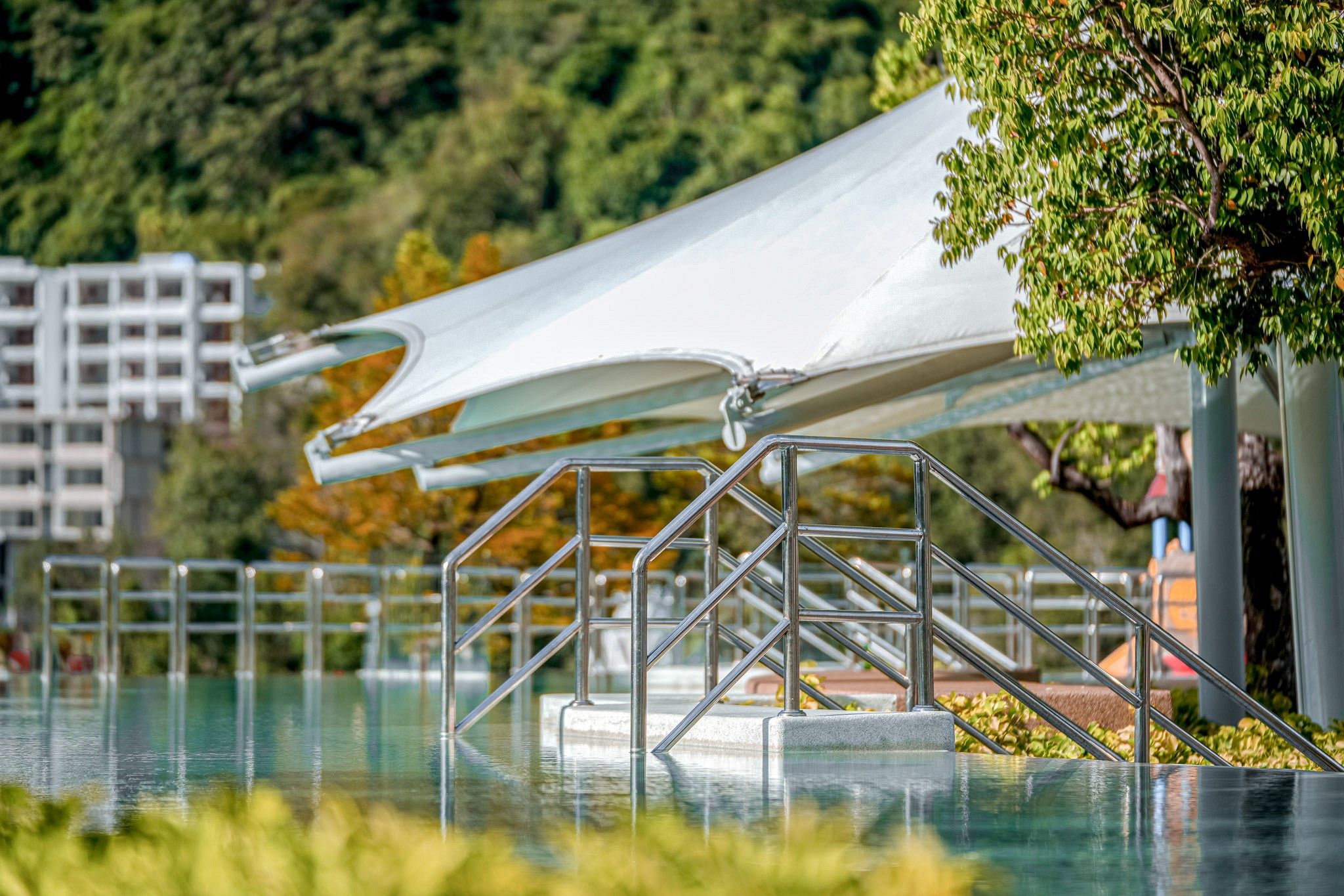 Marin Rooftop Pool