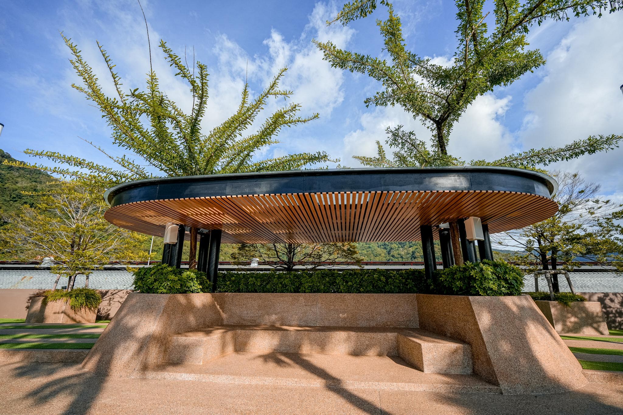 Roof Deck Garden