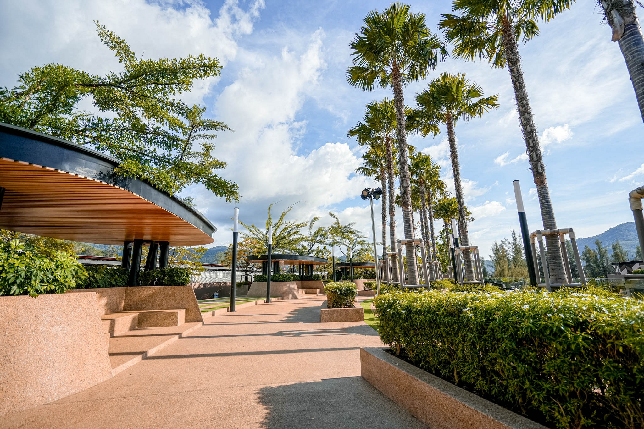 Roof Deck Garden