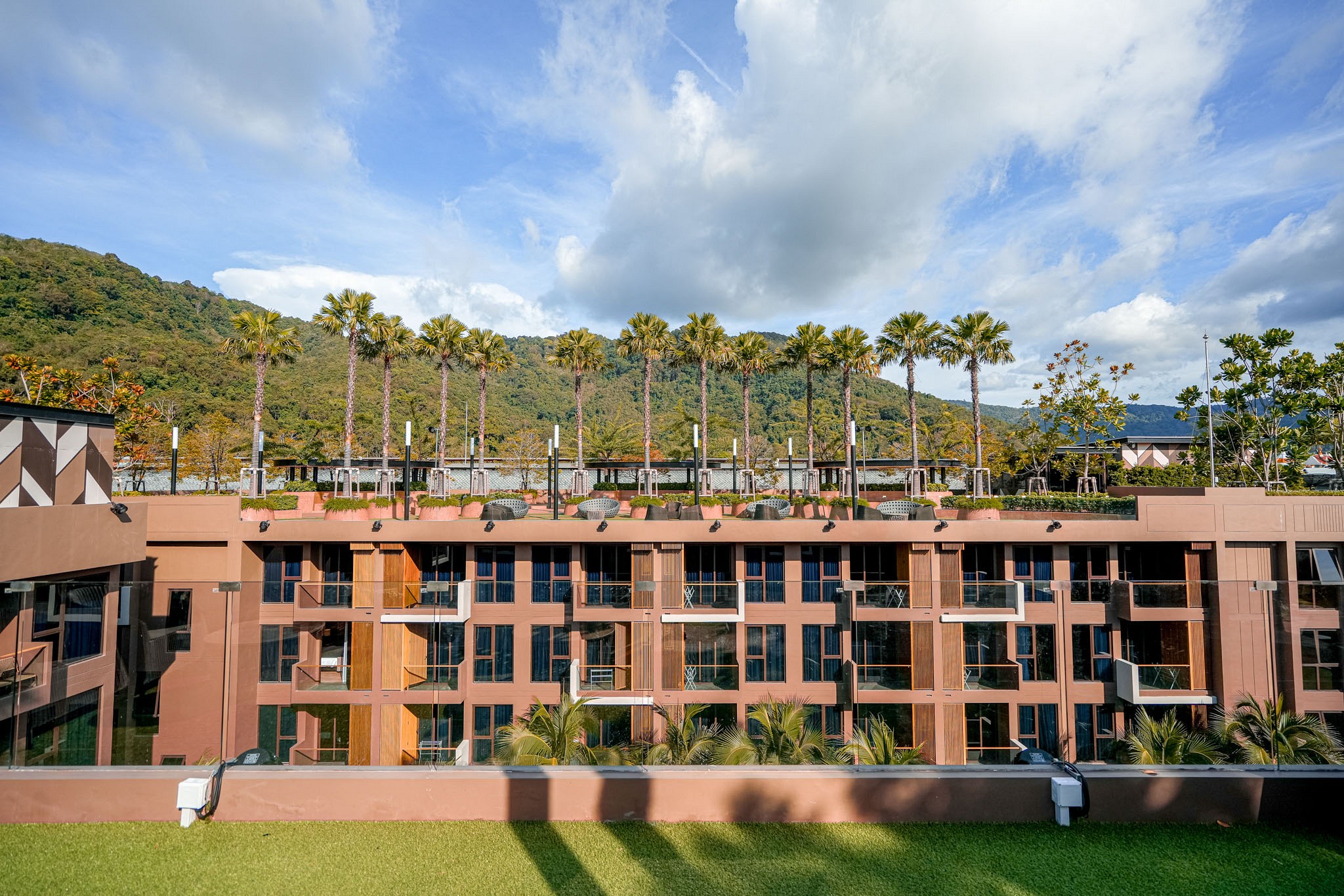 Roof Deck Garden