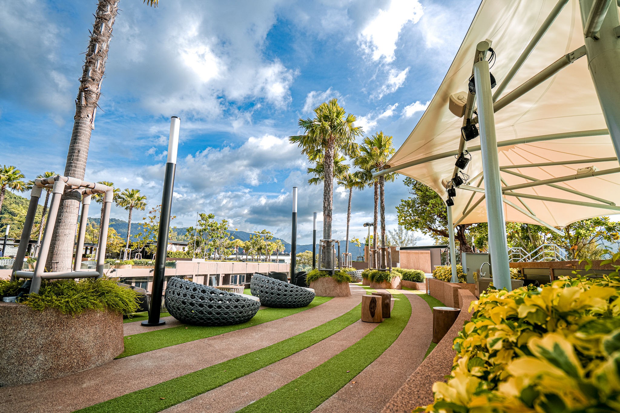 Roof Deck Garden