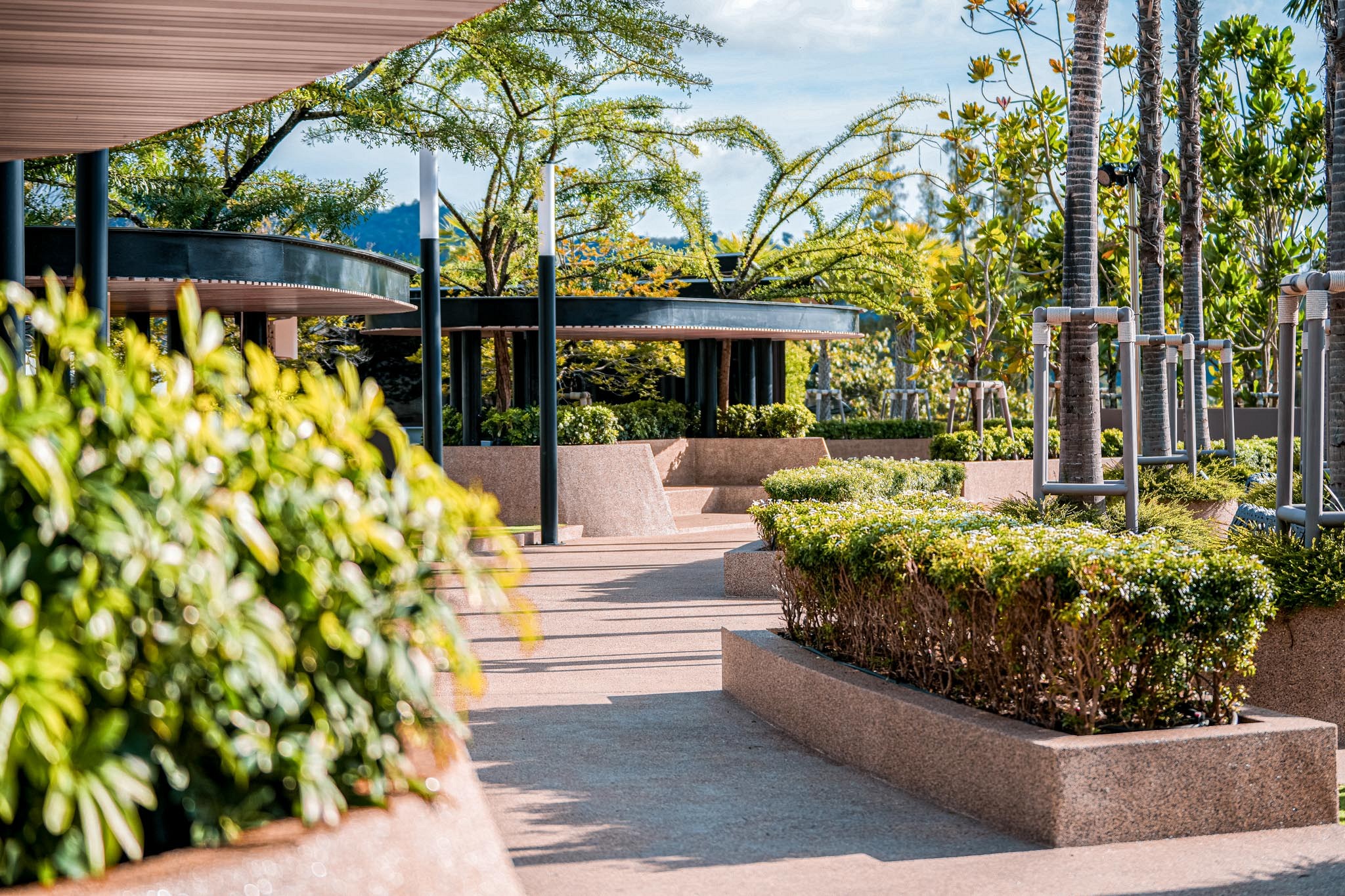 Roof Deck Garden